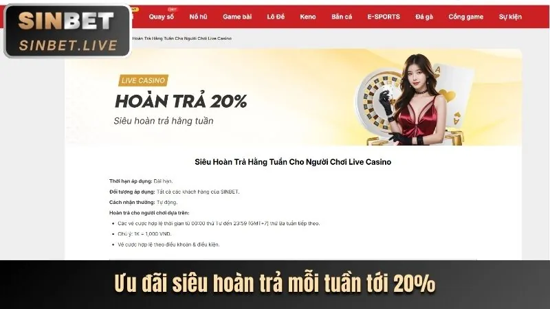 Hoàn trả cược mỗi ngày